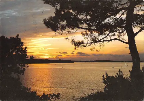 BR90659 poole dorset evening hill brownsea uk