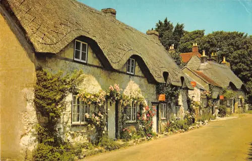 uk7721 alte reetgedeckte Cottages auf Brighstone isle of wight uk