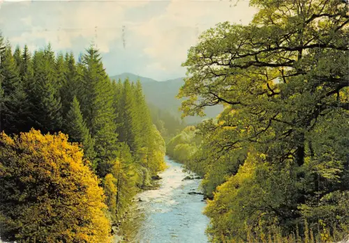 uk47265 avon mawddach at tyn y groes ganllwyd dolgellau dwynedd wales uk