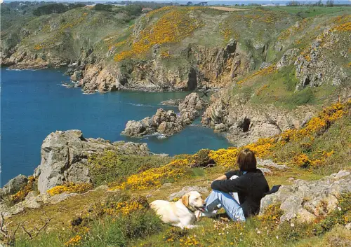 uk43859 cliffs at icart uk