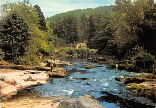 uk47676 river coquet at rothbury northumberland uk fishing