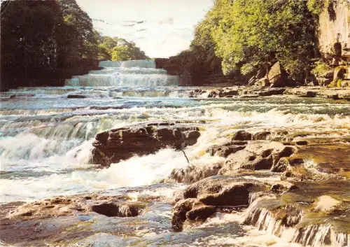 BR91640 the lower falls aysgarth yorkshire uk