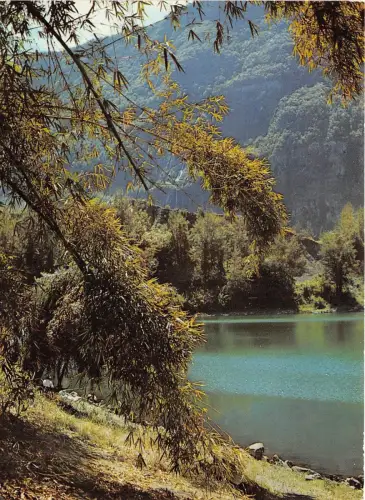 BR20974 La Mare a Poule d Eau Ile de la Reunion Frankreich
