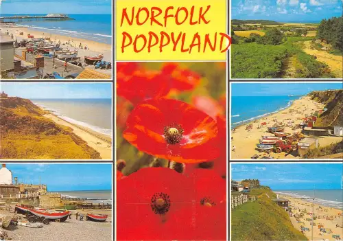 BR90928 norfolk poppyland uk