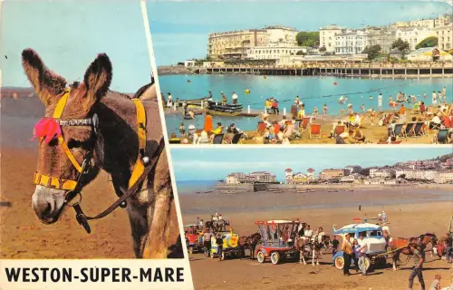 BR65990 weston super mare donkey uk 14x9cm