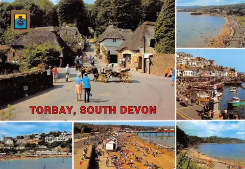 BR89440 torbay south devon chariot uk