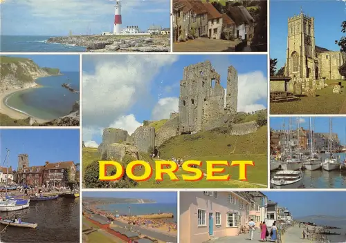 B97555 dorset multi views uk