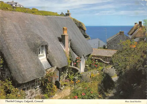 B100235 reetgedeckte Cottages Cadwight Cornwall UK