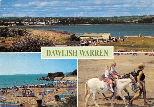 BR76231 donkey dawlish warren the beach uk