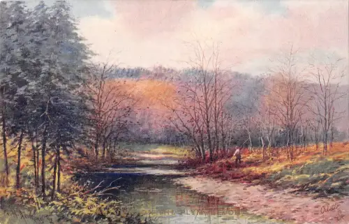 uk16400 picturic devon uk