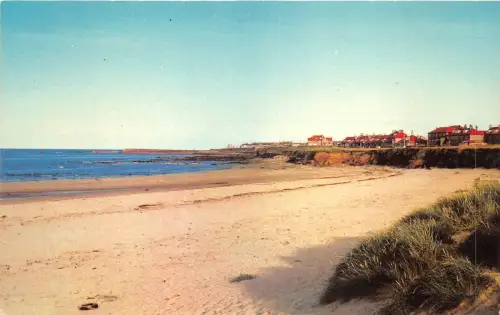 uk51557 beach and sand dunes near seahouses uk