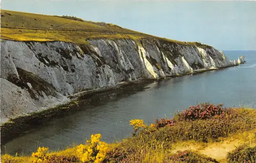 uk51971 alum bay and the needles isle of wight real photo uk