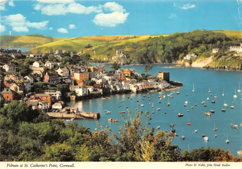 uk48624 polruan and st catherines point cornwall uk