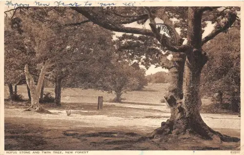 br109854 rufus stone and twin tree new forest real photo uk