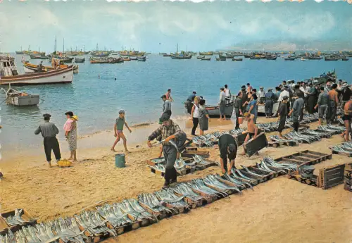 Lot99 sesimbra lota do peixe portugal Angelarten Boot Fischmarkt