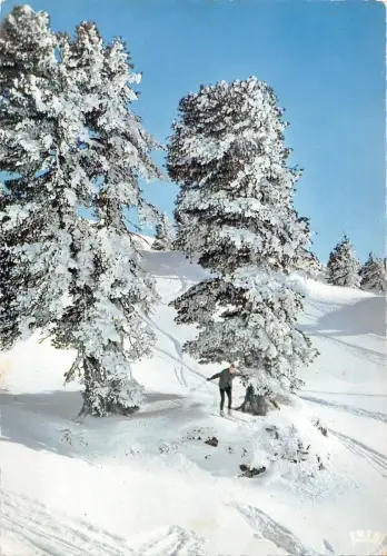 BT13956 Effet de Givre Frankreich Ski Frankreich