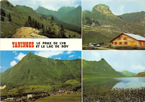 BR31271 taninges le pra z de lys et le lac de Roy france