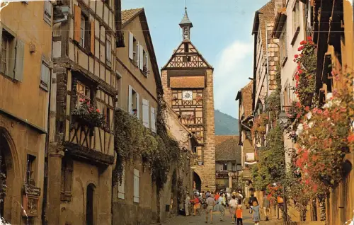 BR51881 la grand rue fleurie Riquewhir Frankreich