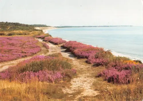 BR92148 dunwich heath suffolk uk