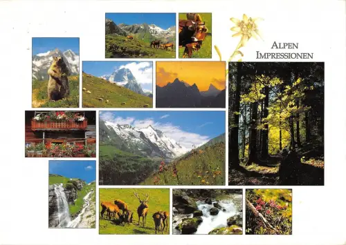 BT7216 Alpen Impressionen cerf dear France France