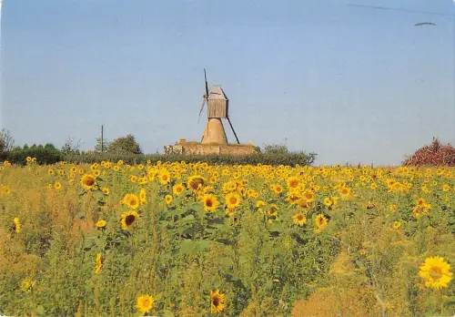 BT1264 moulin d anjou moulin a vent windmill mill france