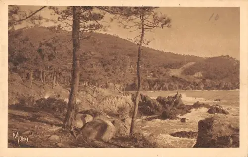 B106451 France Pins et Rochers au Trayas Pines and Rocks