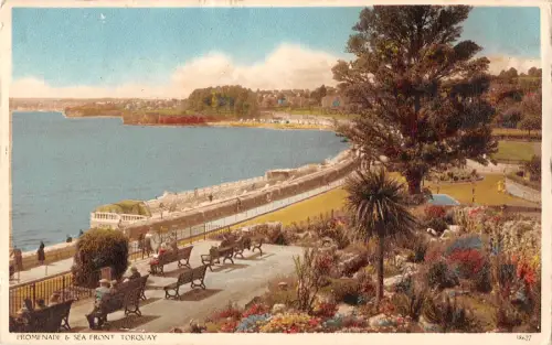 uk21868 promenade and sea front torquay uk