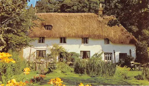 uk21333 Dale Cottage and Tea Rooms Milton Abbas Echtfoto UK