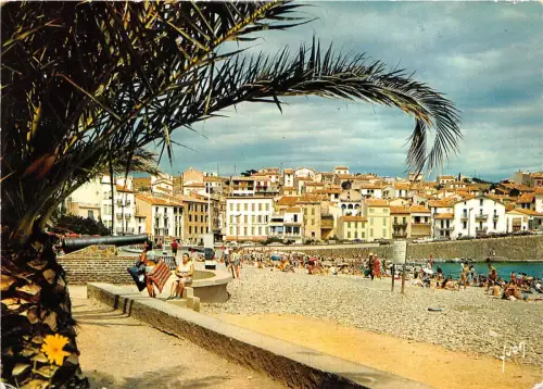 BR22702 Banyuls sur Mer la plage vue des jardins france