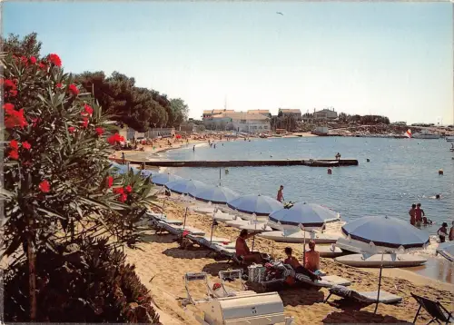 BT10814 San Peire la plage fleurie de san peire France