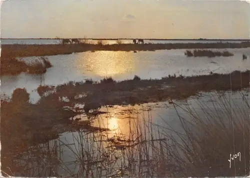 BF2796 coucher de soleil sur la camargue france