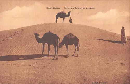 BF9196 Szene Familie Dans Les Sables Typen Bou Saada Algerien Algerien