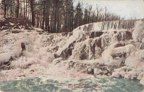 BR46496 Falls Lake Agassiz New York Zoological Park New York