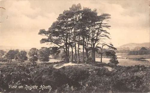 uk11873 reigate heath real photo uk