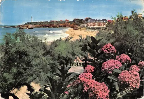 BT7626 Biarritz les hortensias et vue sur la plage et le phare France