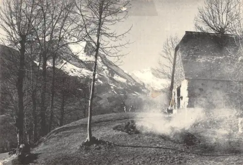 BT8531 L Habitat Pyreneen bergeroe au pied des sommets France