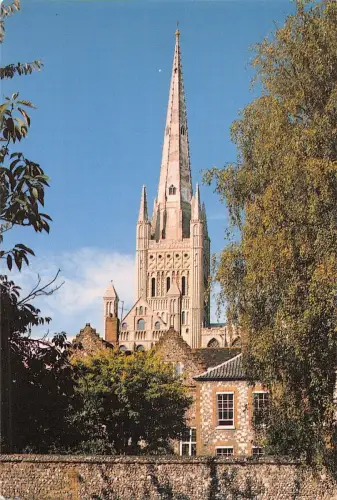 BR92169 norwich norfolk cathedral from the lower close uk