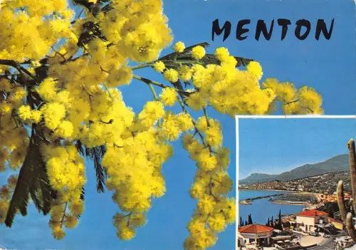 BT5134 menton France