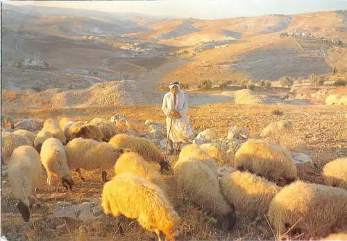 us7126 bethlehem shepherds field egypt bethelem