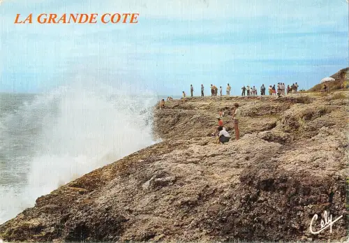 BT5149 St Palais sur mer grosse vague a la grande cote France