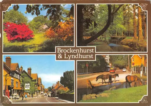 B100411 brockenhurst and lyndhurst uk