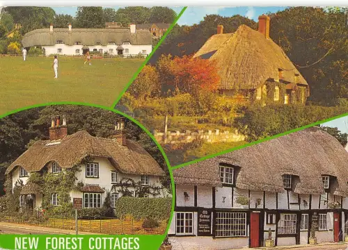 BR90238 new forest cottages uk