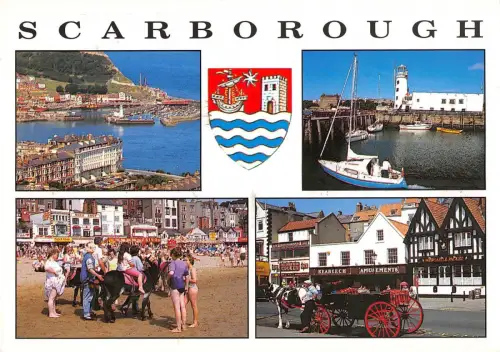 BR89960 scarborough the lighthouse donkey rides uk