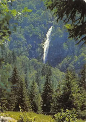 BF901 la ferriere d allevard fond de france