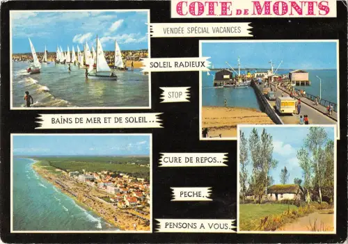 BT6888 Vendee la cote de monts France