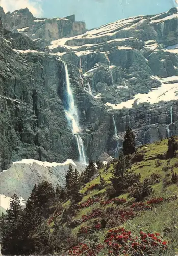 BF1214 Gavarnie Rhododendren Frankreich