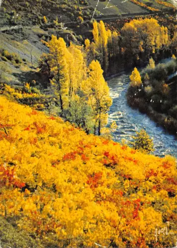 BT9460 Gorges du tarn automne sur les bords du tarn Frankreich