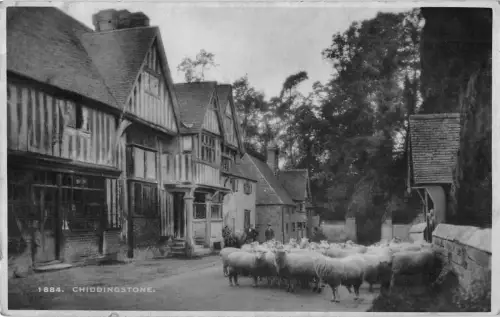 uk13895 chiddstone real photo uk sheep