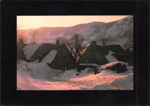 BF2306 l hiver france