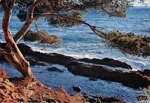 BR51928 Sur les bords de la mediterranee Frankreich